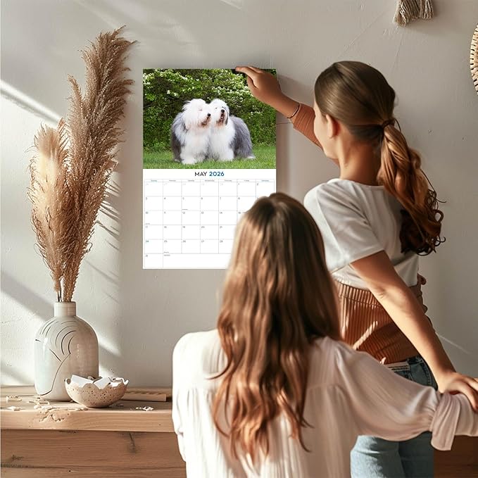 2025 2026 Old English Sheepdog Calendar - Dog Breed Monthly Wall Calendar - 12" x 18" Open - Thick No-Bleed Paper - Giftable - Academic Teacher's Planner Calendar Organizing & Planning - Made in USA