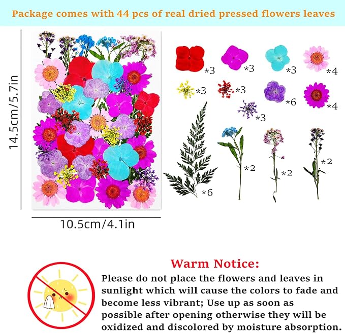 Cardstock Blank Bookmarks Set, 12 Pcs DIY White Craft Bookmarks for Pressed Flowers, Dried Floral Book Mark Making Kit with Pressed Flowers, Tassels, Book Marks for Dried Floral (Elegant Style)