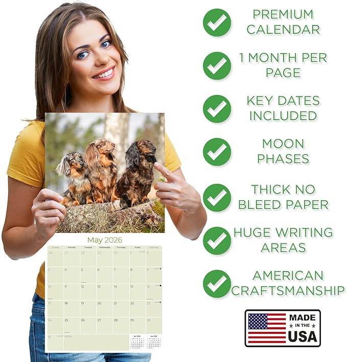 Longhaired Dachshund Calendar 2026 – 16-Month Dog Breed Wall Calendar by MegaCalendars – Large Daily Blocks, Thick No-Bleed Paper, Made in USA