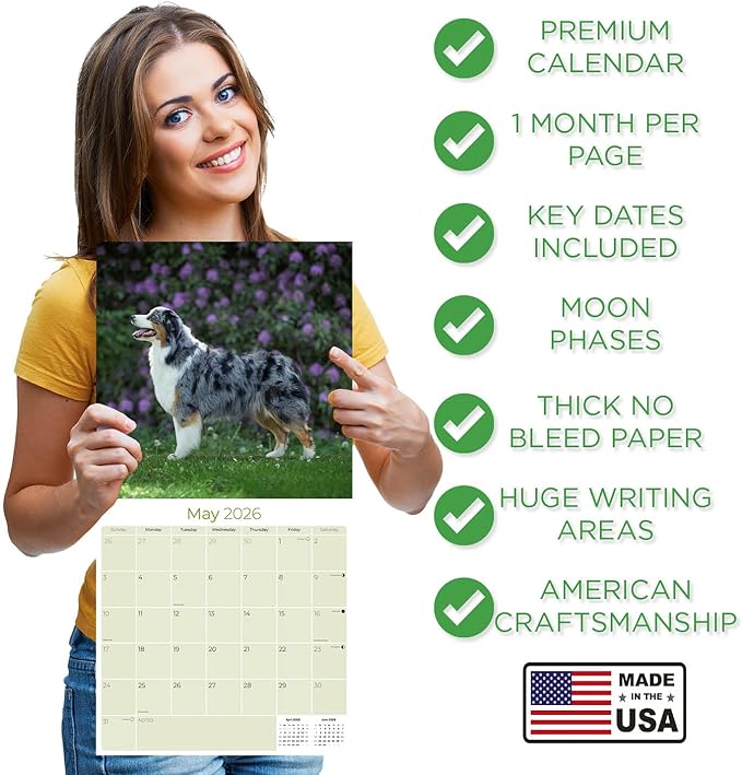 Australian Shepherd Calendar 2026 – 16-Month Dog Breed Wall Calendar by MegaCalendars – Large Daily Blocks, Thick No-Bleed Paper, Made in USA