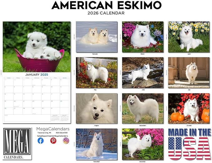 2025 2026 American Eskimo Calendar - Dog Breed Monthly Wall Calendar - 12" x 18" Open - Thick No-Bleed Paper - Giftable - Academic Teacher's Planner Calendar Organizing & Planning - Made in USA