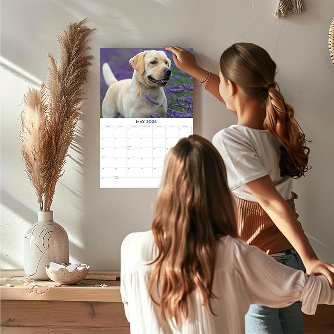 2025 2026 Labrador Yellow Calendar - Dog Breed Monthly Wall Calendar - 12" x 18" Open - Thick No-Bleed Paper - Giftable - Academic Teacher's Planner Calendar Organizing & Planning - Made in USA