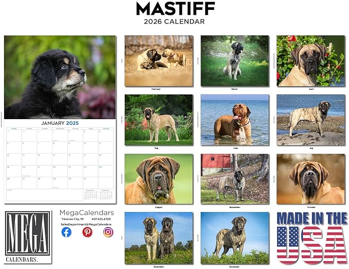 2025 2026 Mastiff Calendar - Dog Breed Monthly Wall Calendar - 12" x 18" Open - Thick No-Bleed Paper - Giftable - Academic Teacher's Planner Calendar Organizing & Planning - Made in USA