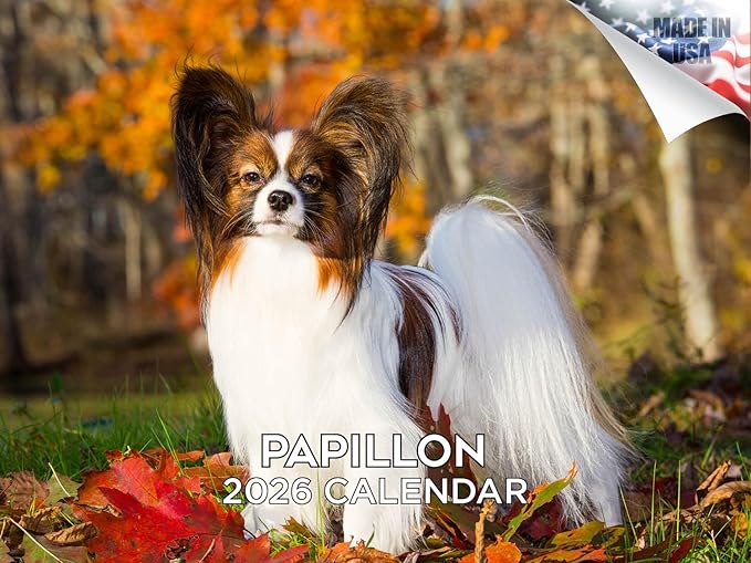 2025 2026 Papillon Calendar - Dog Breed Monthly Wall Calendar - 12" x 18" Open - Thick No-Bleed Paper - Giftable - Academic Teacher's Planner Calendar Organizing & Planning - Made in USA