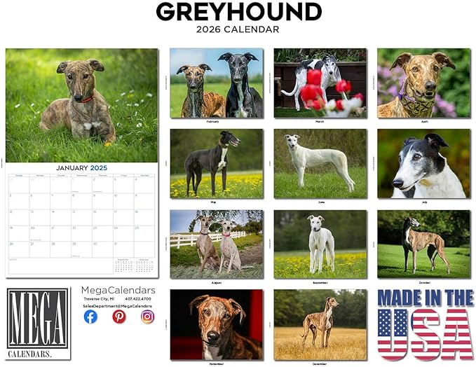 2025 2026 Greyhound Calendar - Dog Breed Monthly Wall Calendar - 12" x 18" Open - Thick No-Bleed Paper - Giftable - Academic Teacher's Planner Calendar Organizing & Planning - Made in USA