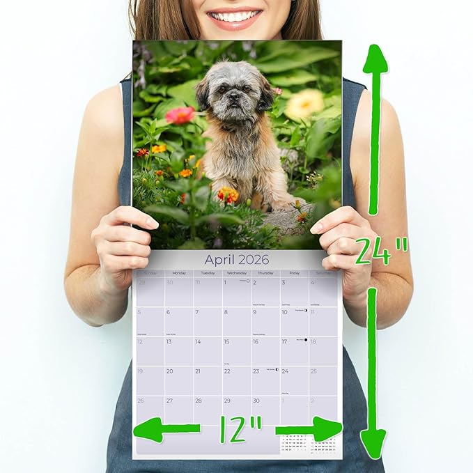 Shih Tzu Calendar 2026 by MegaCalendars – Monthly Dog Breed Wall Calendar, Made in USA
