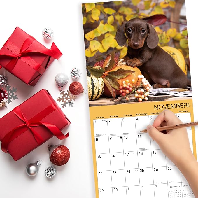 2026 Wall Calendar,Dachshund Wall Calendar, 12" x 24" Open,Family Planner Calendar Organizer with Dachshund Images, for Dogs Lovers