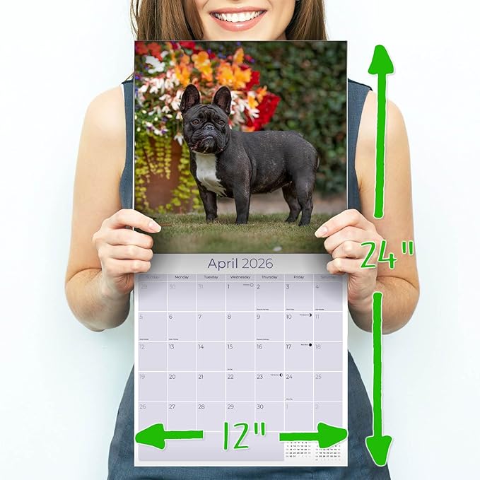 French Bulldog Calendar 2026 – 16-Month Dog Breed Wall Calendar by MegaCalendars – Large Daily Blocks, Thick No-Bleed Paper, Made in USA
