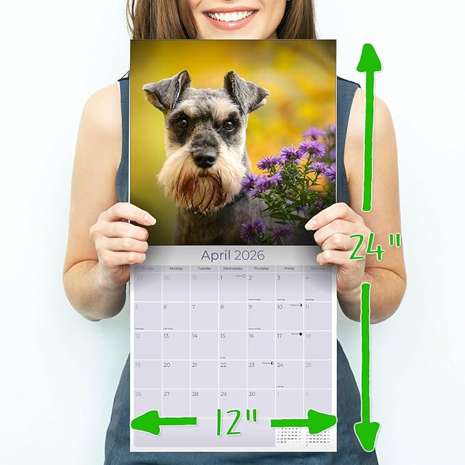 Miniature Schnauzer Calendar 2026 by MegaCalendars – Monthly Dog Breed Wall Calendar, Made in USA