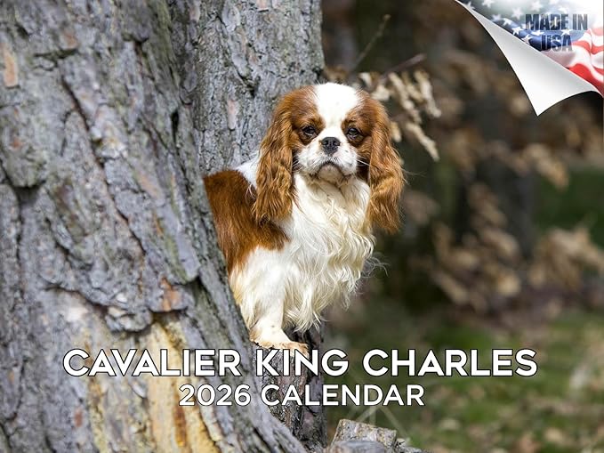 2025 2026 Cavalier King Charles Calendar - Dog Breed Monthly Wall Calendar - 12" x 18" Open - Thick No-Bleed Paper - Giftable - Academic Teacher's Planner Calendar Organizing & Planning - Made in USA
