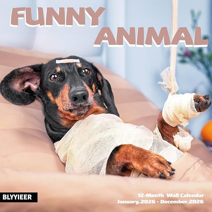 2026 Wall Calendar Funny Animal, 14 Months Hangable Wall Calendars, 12" x 24" (Open), Thick Glossy Paper, Organizing & Planning