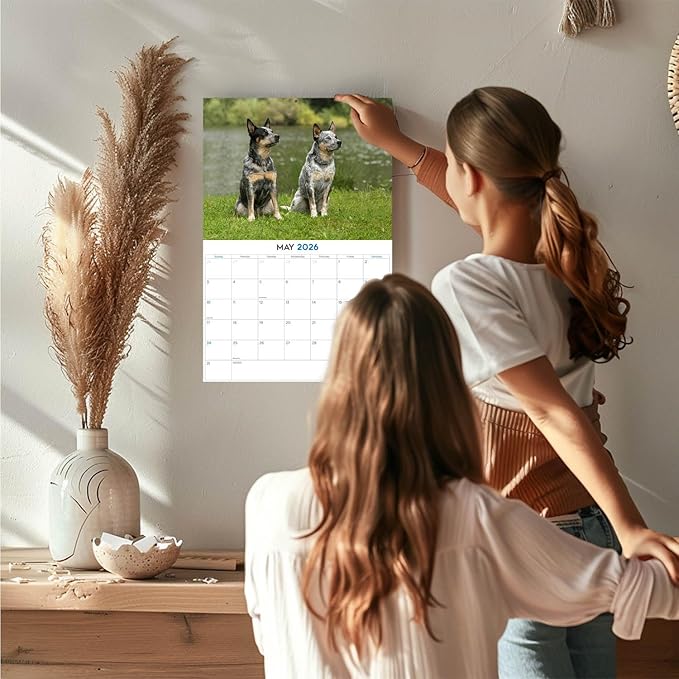 2025 2026 Australian Cattle Dog Calendar - Dog Breed Monthly Wall Calendar - 12" x 18" Open - Thick No-Bleed Paper - Giftable - Academic Teacher's Planner Calendar Organizing & Planning - Made in USA