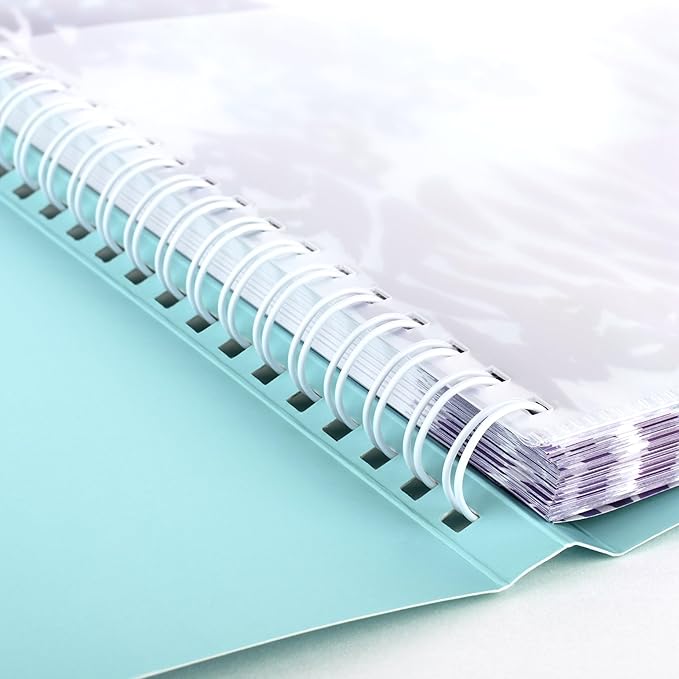 AT-A-GLANCE 2027 Appointment Book Planner, Weekly & Monthly, 13-Month Jan-Jan, 8.5" x 11", Hourly, Wild Washes, Teal (523-905-27)