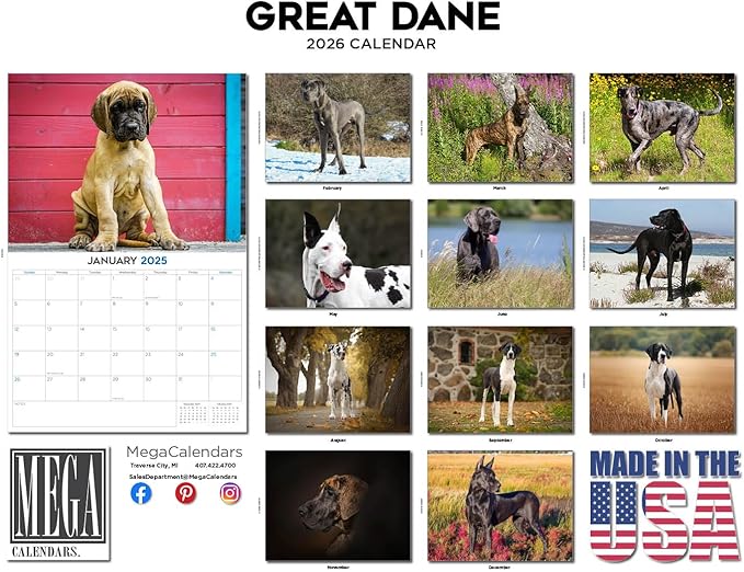 2025 2026 Great Dane Calendar - Dog Breed Monthly Wall Calendar - 12" x 18" Open - Thick No-Bleed Paper - Giftable - Academic Teacher's Planner Calendar Organizing & Planning - Made in USA