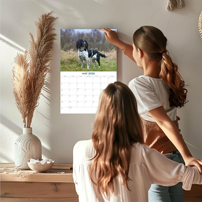 2025 2026 English Springer US Calendar - Dog Breed Monthly Wall Calendar - 12" x 18" Open - Thick No-Bleed Paper - Giftable - Academic Teacher's Planner Calendar Organizing & Planning - Made in USA
