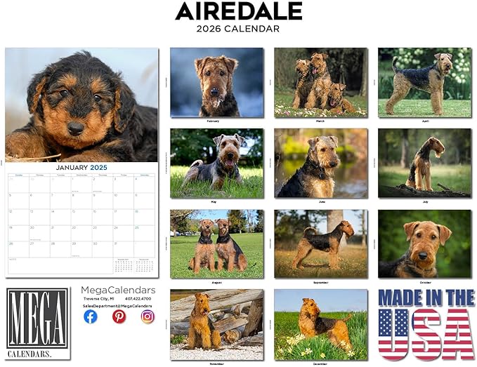 2025 2026 Airedale Calendar - Dog Breed Monthly Wall Calendar - 12" x 18" Open - Thick No-Bleed Paper - Giftable - Academic Teacher's Planner Calendar Organizing & Planning - Made in USA