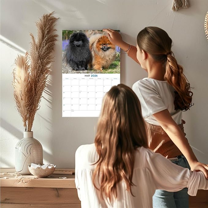 2025 2026 Pomeranian Calendar - Dog Breed Monthly Wall Calendar - 12" x 18" Open - Thick No-Bleed Paper - Giftable - Academic Teacher's Planner Calendar Organizing & Planning - Made in USA