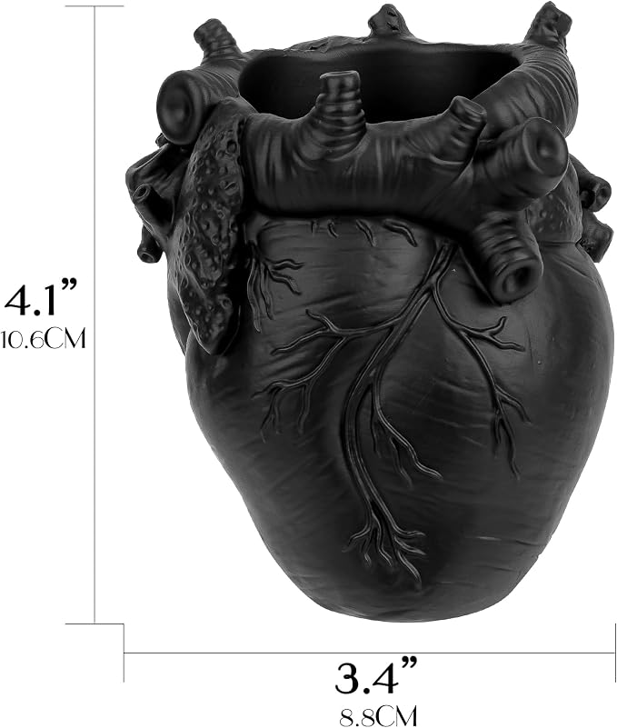 Anatomical Heart Pencil Holder, Black Resin Organ-Shaped Pen Cup Desk Organizer, Realistic Human Heart Decor, Stable Base