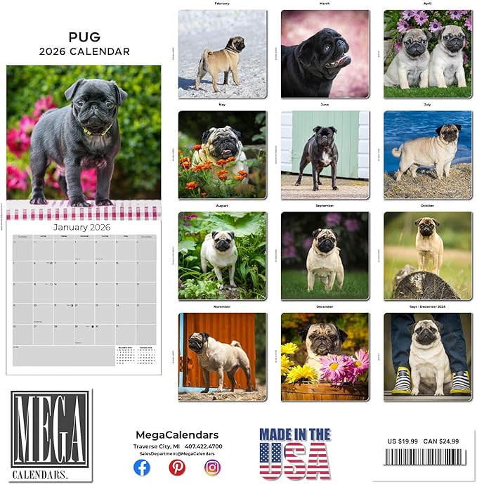 Pug Calendar 2026 by MegaCalendars – Monthly Dog Breed Wall Calendar, Made in USA
