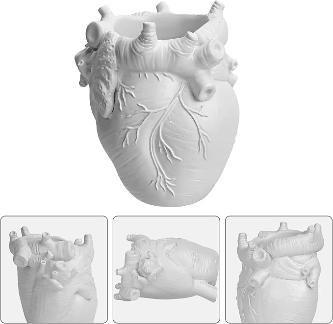 Anatomical Heart Pencil Holder, White Resin Organ-Shaped Pen Cup Desk Organizer, Realistic Human Heart Decor, Stable Base