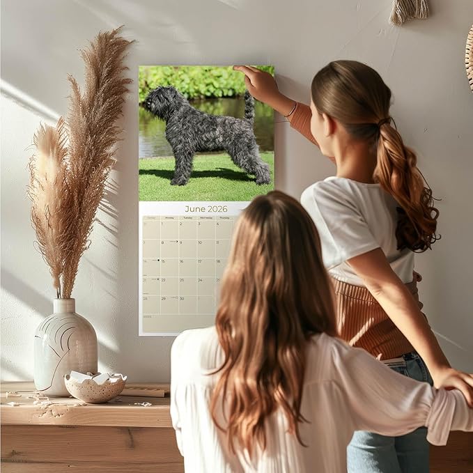 Bouvier Des Flandres Calendar 2026 by MegaCalendars – Monthly Dog Breed Wall Calendar, Made in USA