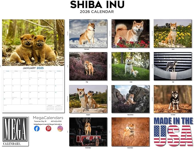 2025 2026 Shiba Inu Calendar - Dog Breed Monthly Wall Calendar - 12" x 18" Open - Thick No-Bleed Paper - Giftable - Academic Teacher's Planner Calendar Organizing & Planning - Made in USA