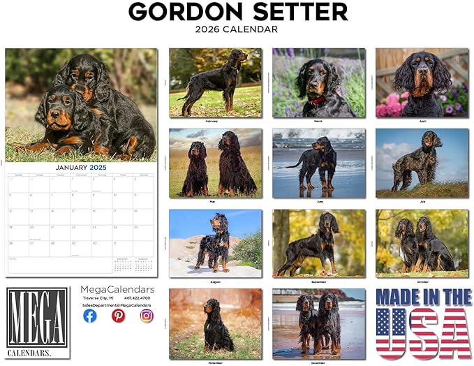 2025 2026 Gordon Setter Calendar - Dog Breed Monthly Wall Calendar - 12" x 18" Open - Thick No-Bleed Paper - Giftable - Academic Teacher's Planner Calendar Organizing & Planning - Made in USA