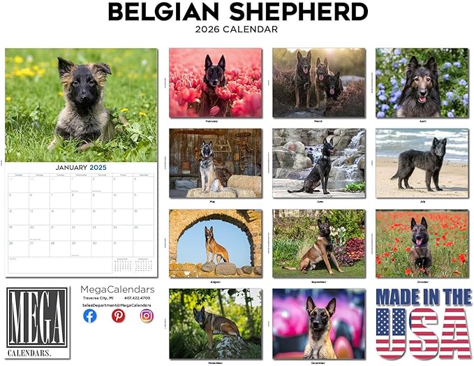 2025 2026 Belgian Shepherd Calendar - Dog Breed Monthly Wall Calendar - 12" x 18" Open - Thick No-Bleed Paper - Giftable - Academic Teacher's Planner Calendar Organizing & Planning - Made in USA