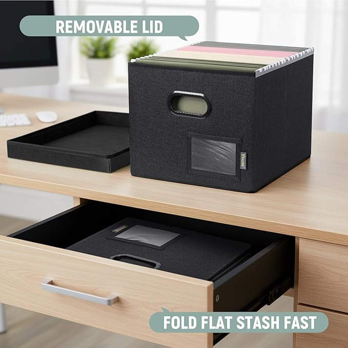 BALEINE File Organizer Box with Lid, Collapsible File Folder Organizer with Plastic Slide, Filing Box for Office Home Document Organizer Storage (Black, 4PK)