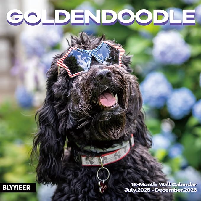 2025-2026 Wall Calendar,Goldendoodle Wall Calendar, 12" x 24" Open,Family Planner Calendar Organizer with Goldendoodle Images, for Dogs Lovers