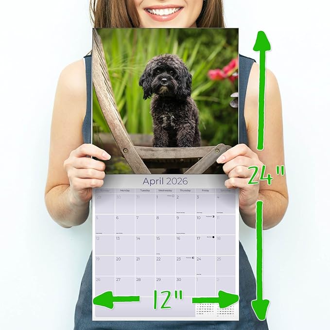 Cavapoo Calendar 2026 by MegaCalendars – Monthly Dog Breed Wall Calendar, Made in USA