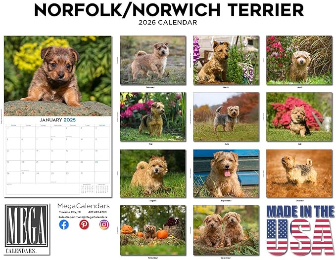 2025 2026 Norfolk/Norwich Calendar - Dog Breed Monthly Wall Calendar - 12" x 18" Open - Thick No-Bleed Paper - Giftable - Academic Teacher's Planner Calendar Organizing & Planning - Made in USA