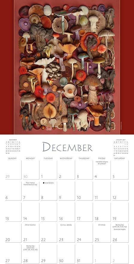 Mushrooms 2026 Wall Calendar, 12-Month Botanical & Nature Photography Calendar: The Art of The Fungi by Moritz Schmid, 12" × 12" Organizer for Home and Office