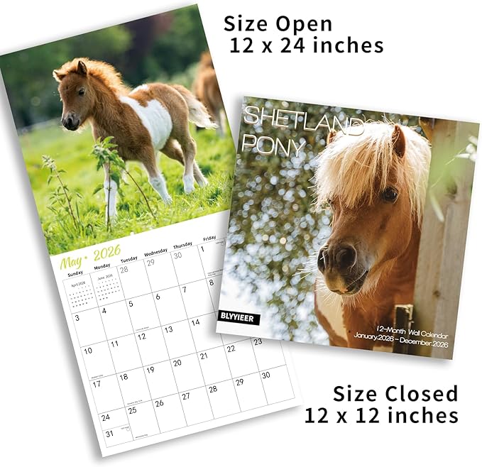 2026 Wall Calendar,Calendar 2026,Shetland Pony Cattle Monthly Wall Calendar, 12" x 24" Open,Family Planner Calendar, Home & Office Organizer,Hangable
