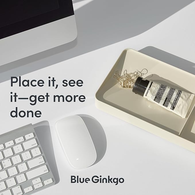 BLUE GINKGO Desk Organizer Tray - Office Organization | Desk Supplies, Pencil Holder, Pen Holder for Desk | Office Desk Accessories (Made in Korea) - Green