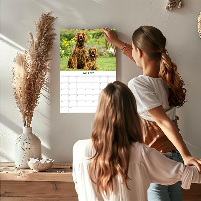 2025 2026 Irish Setter Calendar - Dog Breed Monthly Wall Calendar - 12" x 18" Open - Thick No-Bleed Paper - Giftable - Academic Teacher's Planner Calendar Organizing & Planning - Made in USA