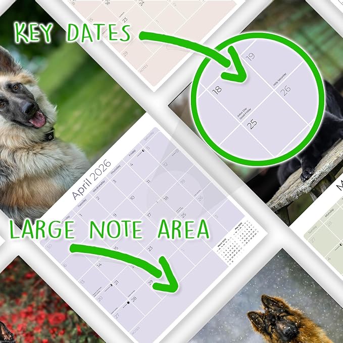 German Shepherd Calendar 2027 – Dog Calendar 2027 Wall Calendar, 16 Month Wall Planner, Large Writing Blocks, Thick No Bleed Paper, Made in USA, Dog Lover Gift