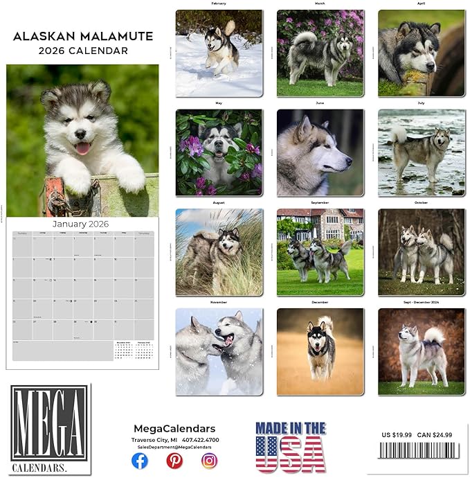 Alaskan Malamute Calendar 2026 by MegaCalendars – Monthly Dog Breed Wall Calendar, Made in USA