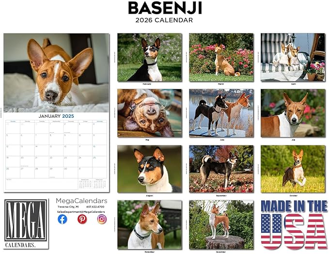 2025 2026 Basenji Calendar - Dog Breed Monthly Wall Calendar - 12" x 18" Open - Thick No-Bleed Paper - Giftable - Academic Teacher's Planner Calendar Organizing & Planning - Made in USA