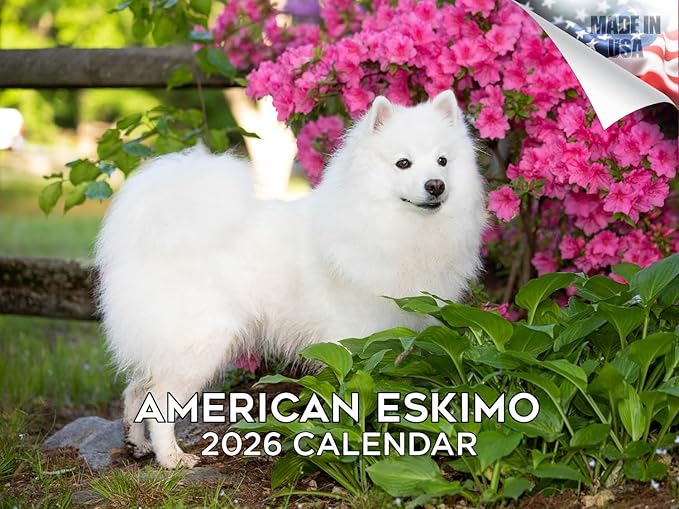 2025 2026 American Eskimo Calendar - Dog Breed Monthly Wall Calendar - 12" x 18" Open - Thick No-Bleed Paper - Giftable - Academic Teacher's Planner Calendar Organizing & Planning - Made in USA
