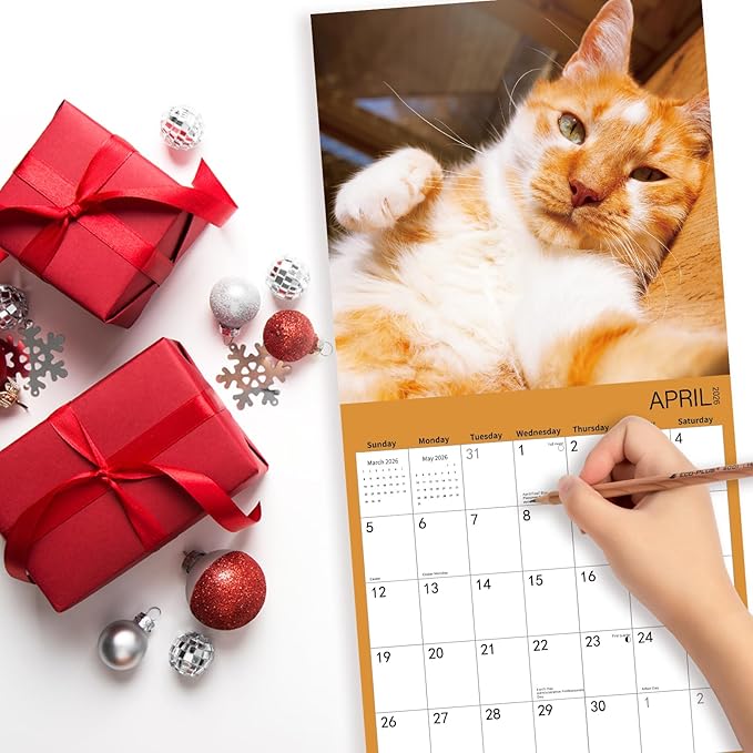2026 Wall Calendar,Cat Calendar 2026,Selfie cat Monthly Wall Calendar, 12" x 24" Open,Family Planner Calendar Organizer with funny cat Images, for Cats Lovers