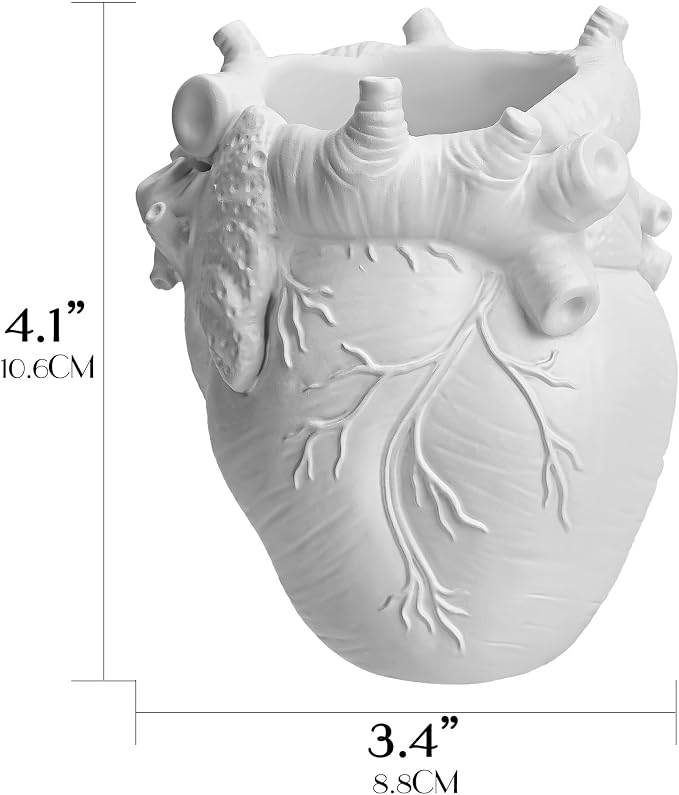 Anatomical Heart Pencil Holder, White Resin Organ-Shaped Pen Cup Desk Organizer, Realistic Human Heart Decor, Stable Base