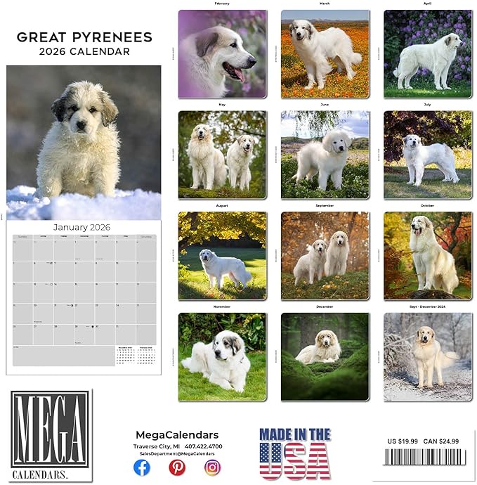 Great Pyrenese Calendar 2026 by MegaCalendars – Monthly Dog Breed Wall Calendar, Made in USA