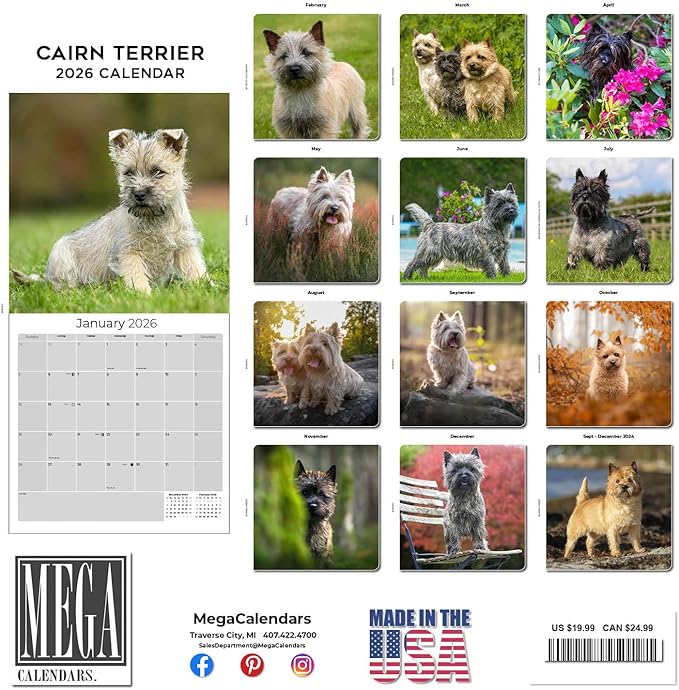 Cairn Terrier Calendar 2026 by MegaCalendars – Monthly Dog Breed Wall Calendar, Made in USA