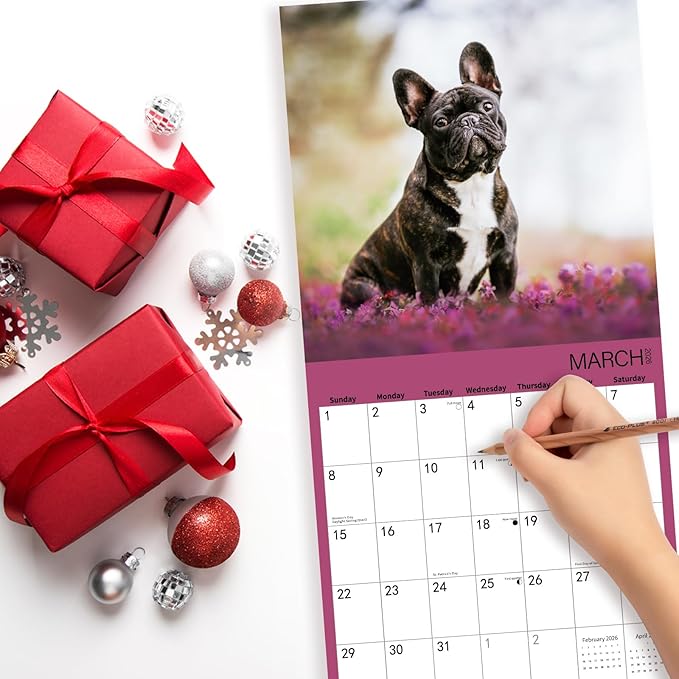 2026 Wall Calendar,French Bulldog Wall Calendar, 12" x 24" Open,Family Planner Calendar Organizer with French Bulldog Images, for Dogs Lovers