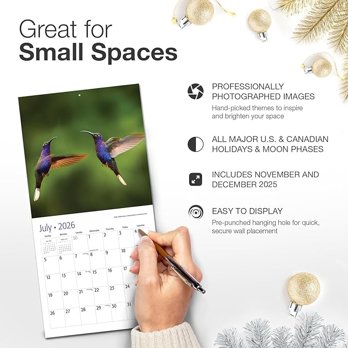 RED EMBER Hummingbirds 2026 Mini Wall Calendar 12 Month | 7" x 14" Open | Thick & Sturdy Paper | Giftable | Bird Calendar 2026