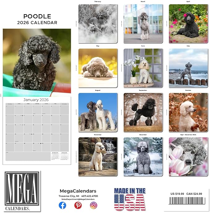 Poodle Calendar 2026 – 16-Month Dog Breed Wall Calendar by MegaCalendars – Large Daily Blocks, Thick No-Bleed Paper, Made in USA