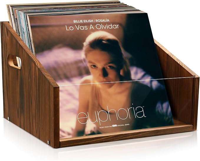 GRETJOB Vinyl Record Storage Crate - Wooden & Acrylic Record Storage Holds 70+ Records, Books, Files - Desktop & Home Office Storage with Handle (Brown)