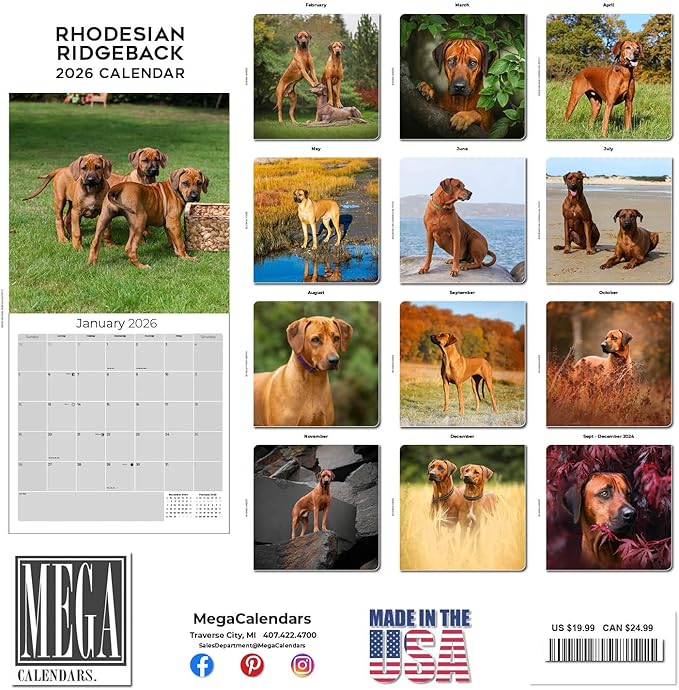 Rhodesian Ridgeback Calendar 2026 by MegaCalendars – Monthly Dog Breed Wall Calendar, Made in USA