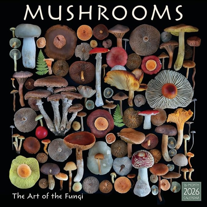 Mushrooms 2026 Wall Calendar, 12-Month Botanical & Nature Photography Calendar: The Art of The Fungi by Moritz Schmid, 12" × 12" Organizer for Home and Office